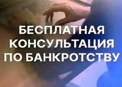 Консультация по банкротству физических лиц — анализ, план действий